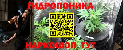 кокс Кингисепп