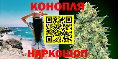 кокс Кингисепп