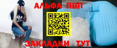кокс Кингисепп