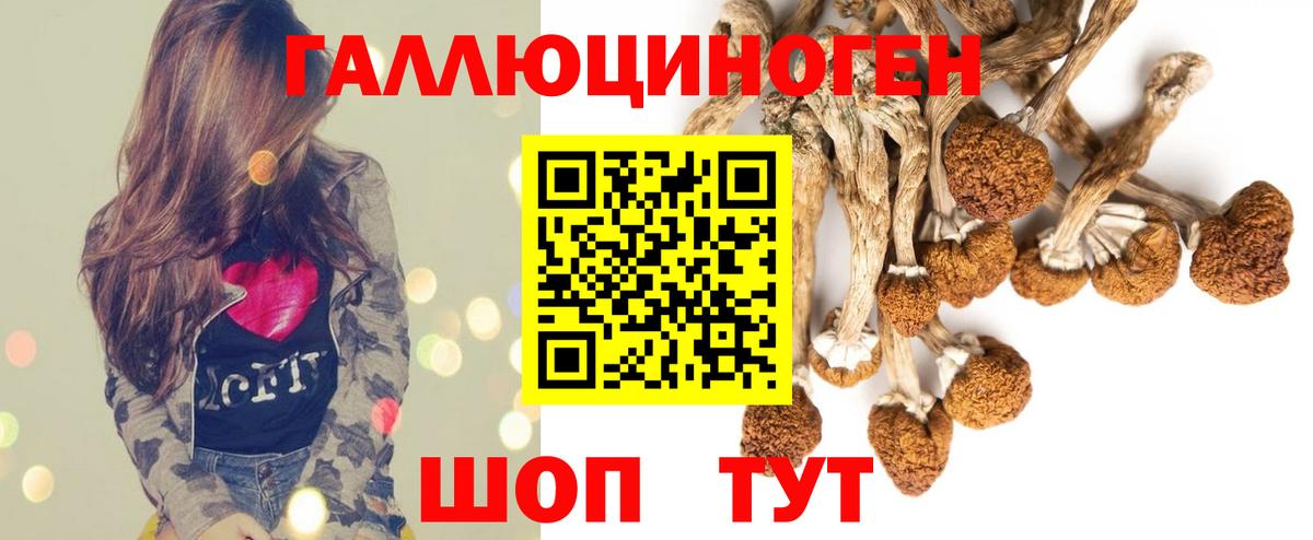 Галлюциногенные грибы MAGIC MUSHROOMS  Вход с VPN  купить   Мирный 